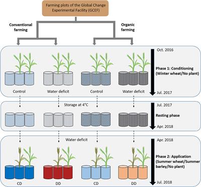 Water Deficit History Selects Plant Beneficial Soil Bacteria Differently Under Conventional and Organic Farming